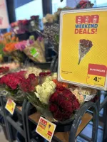 🌸INTERNATIONALE VROUWENDAG 🌸